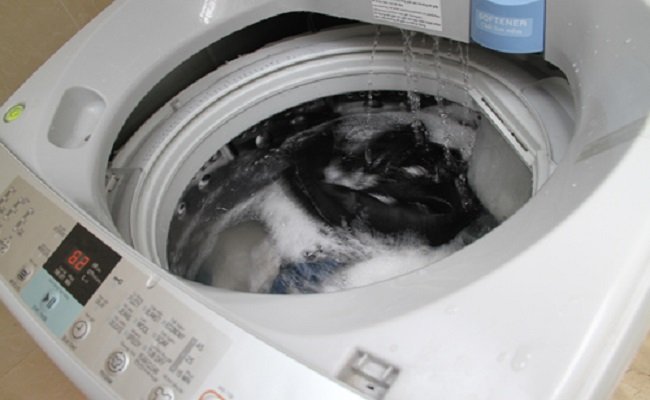 Máy giặt không cấp nước 